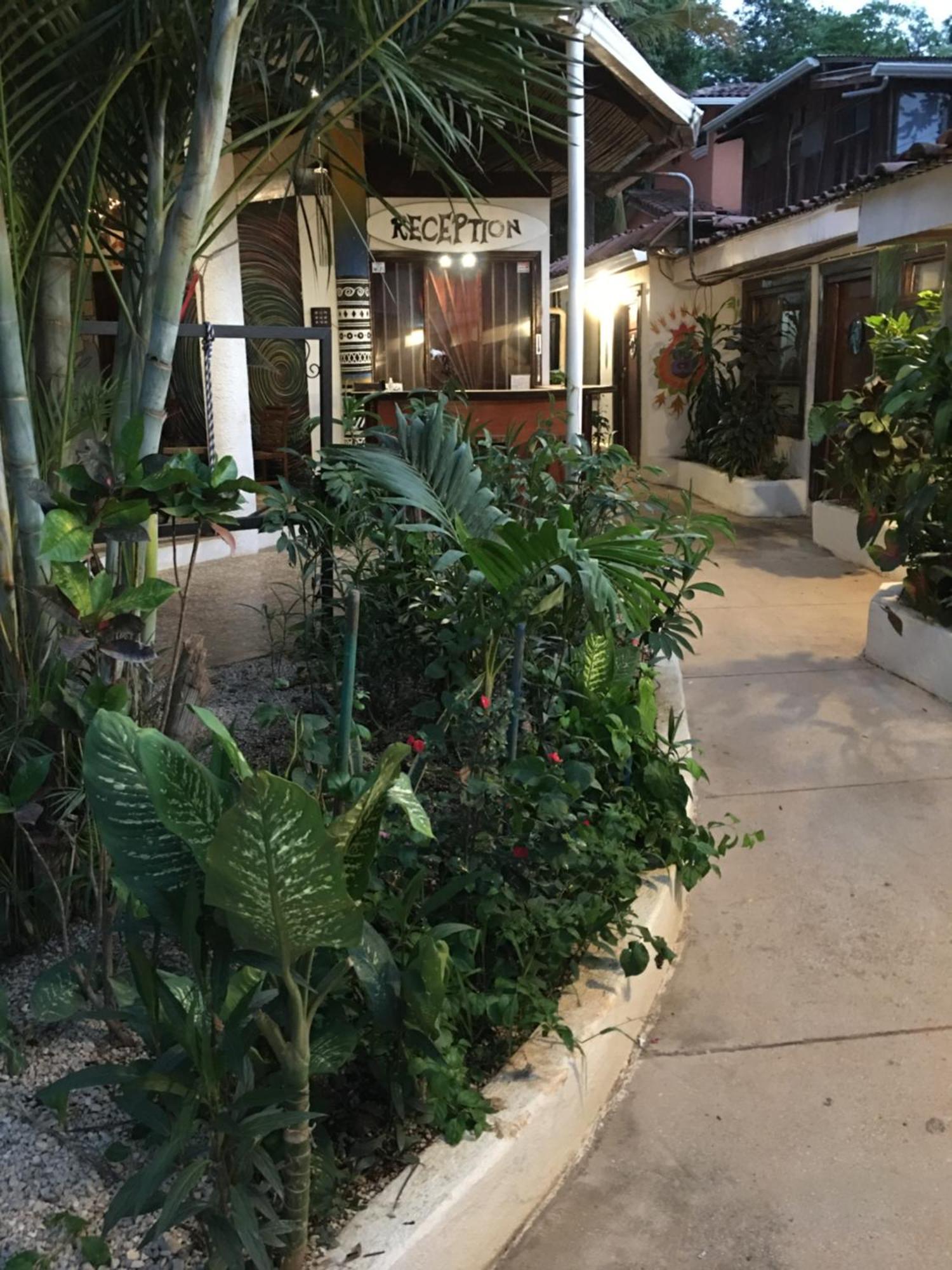 Pura Vida Hostel Ταμαρίντο Εξωτερικό φωτογραφία