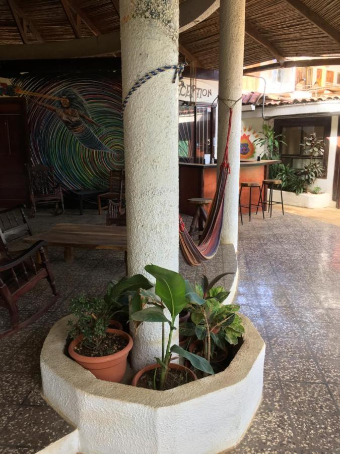 Pura Vida Hostel Ταμαρίντο Εξωτερικό φωτογραφία