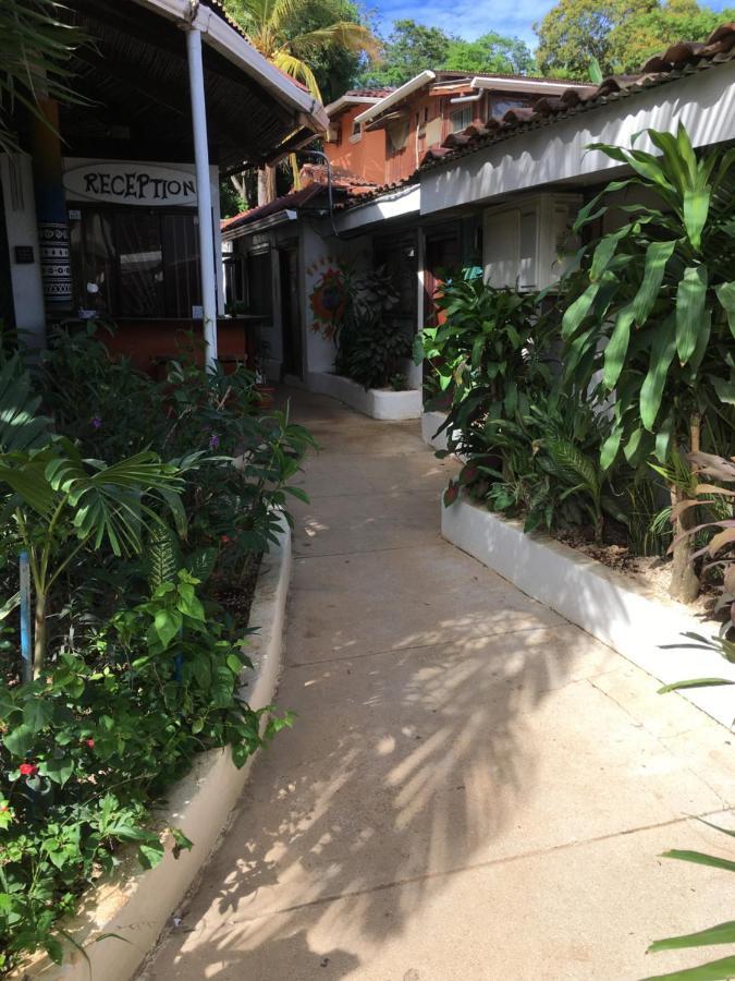 Pura Vida Hostel Ταμαρίντο Εξωτερικό φωτογραφία