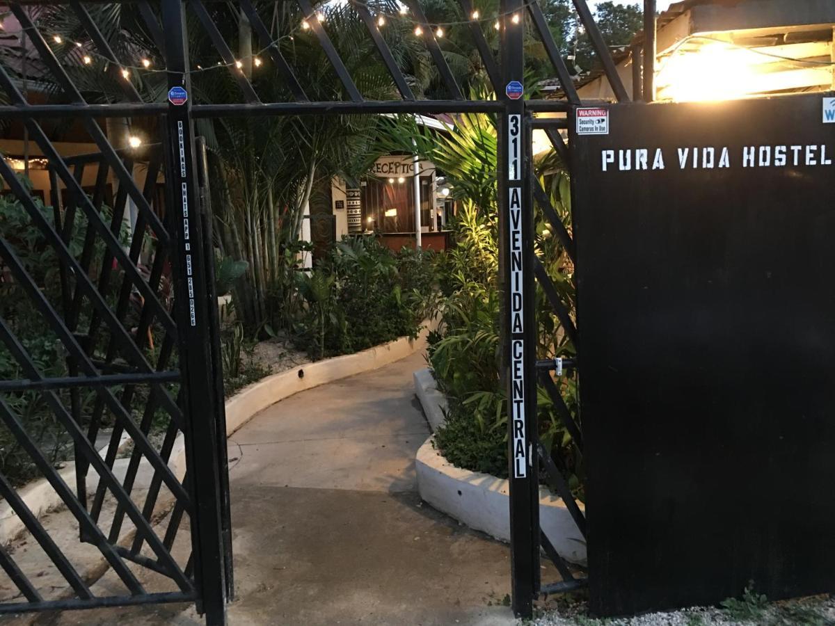 Pura Vida Hostel Ταμαρίντο Εξωτερικό φωτογραφία