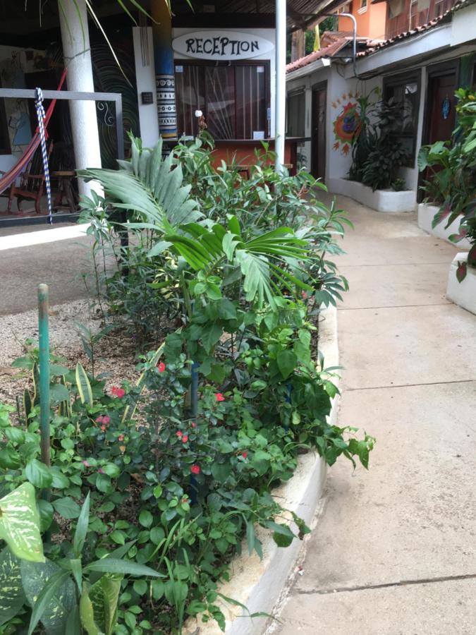 Pura Vida Hostel Ταμαρίντο Εξωτερικό φωτογραφία