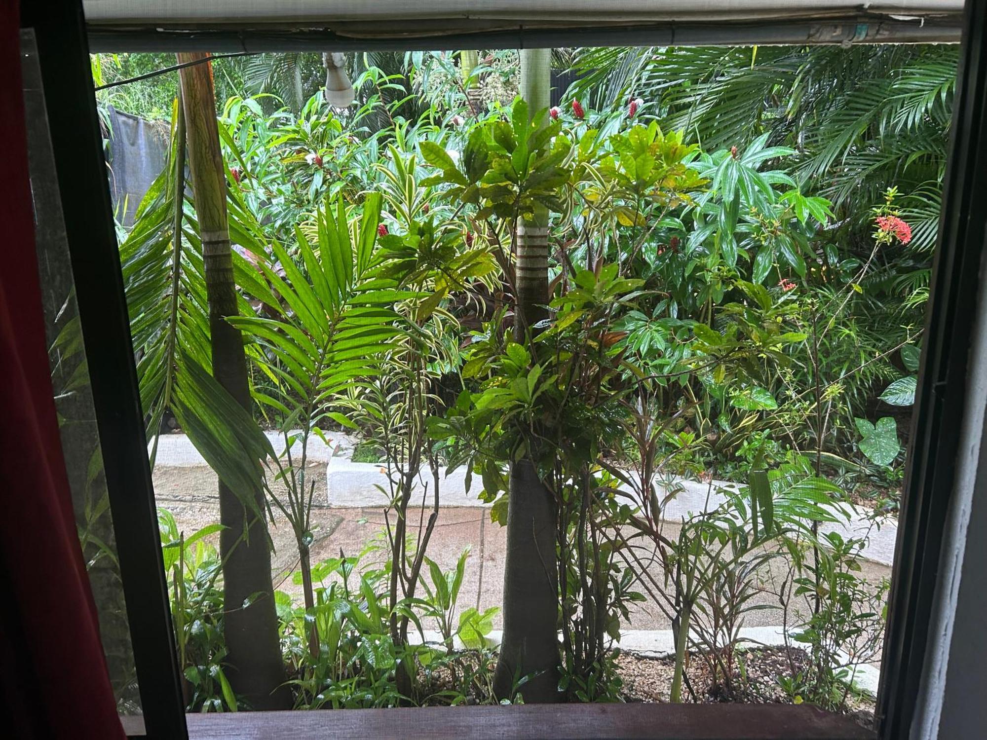 Pura Vida Hostel Ταμαρίντο Εξωτερικό φωτογραφία